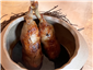 quail legs